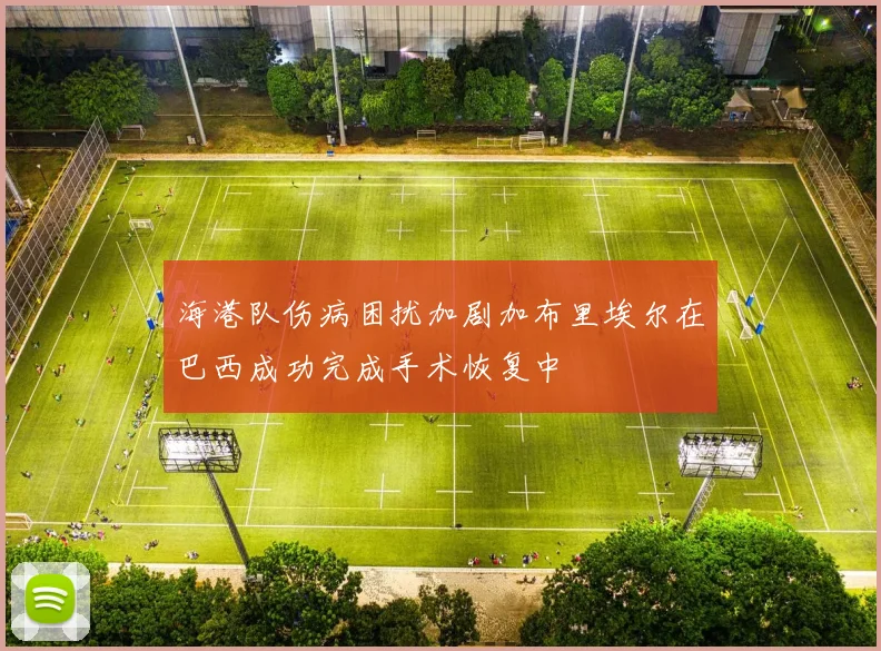 海港队伤病困扰加剧加布里埃尔在巴西成功完成手术恢复中