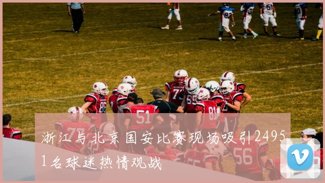 浙江与北京国安比赛现场吸引24951名球迷热情观战