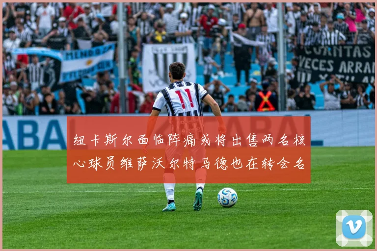 纽卡斯尔面临阵痛或将出售两名核心球员维萨沃尔特马德也在转会名单上
