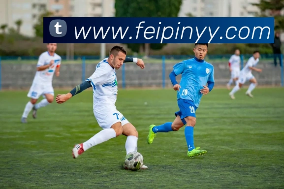 星空网官方网址入口APP 封面图